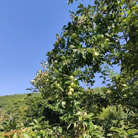 Villa Lux Nature