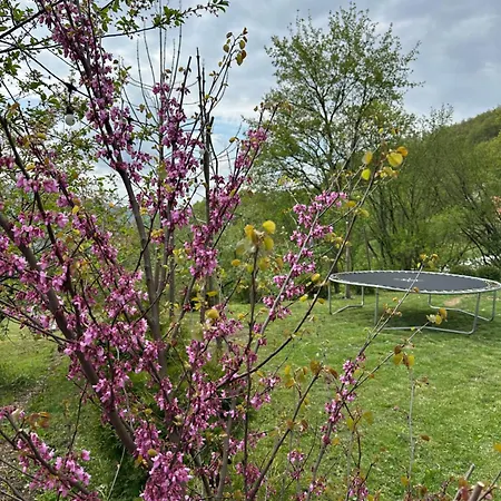 Lux Nature Villa Sarajevo